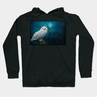 Night Owl Hoodie